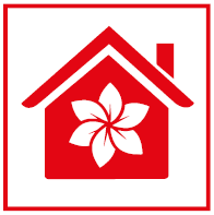Vẻ đẹp ấn tượng
